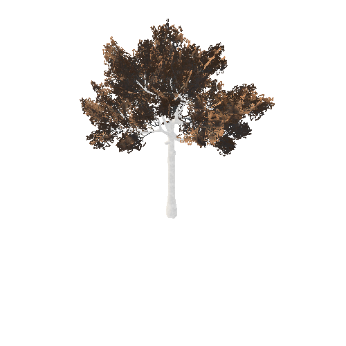 BeecthTree02Fall_afsTREE_xmvcb _xlod01_xlp